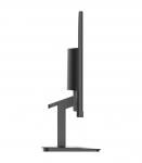 LCD Monitor|MSI|PRO MP2412|23.8"|Business|Panel VA|1920x1080|16:9|100Hz|Matte|4 ms|Tilt|Colour Black|PROMP2412