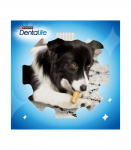 PURINA Dentalife Extra Mini - Dental snack for dogs - 69 g