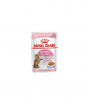 ROYAL CANIN FHN Kitten Sterilised - Wet cat food - 12x85g