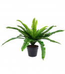 Kunsttaim BOSTON FERN, H60cm, s&otilde;najalg, must pott