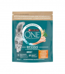 Purina One Mini Active bogata w kurczak z ryż 750g