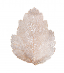 Lauamatt BIG LEAF, 36x45cm, kuld