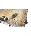 C&C modular cage 5x2 pig rabbit hedgehog silver 180 x 75 x 37 cm