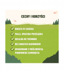 PURINA Adventuros Training salmon - dog treat - 40g