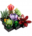 LEGO ICONS 10309 SUCCULENTS