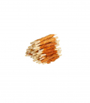 HILTON Chicken wrap white rawhide stick - Dog treat - 500 g