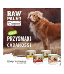 VetExpert Raw Paleo Cabanossi game mini 100g