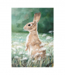 &Otilde;limaal 50x70cm, j&auml;nes aasal