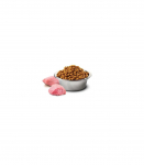 Farmina Pet Food 8010276033635 dogs dry food 2.5 g Adult Chicken