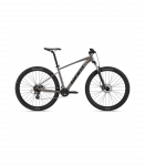 Jalgratas GIANT Talon 29 4, Metal (L)