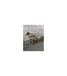 SALE OUT. Gorenje WPNEI82A1SWIFI Washing machine, A, Front loading, 8 kg, 1200 RPM, Depth 54.5 cm, White SALE OUT.