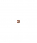 HAIR DRYER ACC ESSENCE NOZZLE/ROSE AHHN02 DREAME