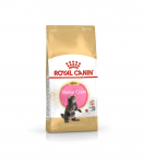 ROYAL CANIN Maine coon FBN Kitten - dry cat food - 400g
