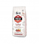 BRIT Fresh Puppy&Junior Large Growth&Joints Beef with Pumpkin - dry dog food - 12 kg