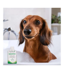 JM SANTE Poliderm - shampoo for dog and cat - 15 ml