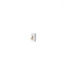 VITRIINKAPP SILKE 247JGY42 VALGE/WOTAN VASAKPOOLNE