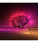 Philips Hue Festavia string lights 250 LED, 20m|14 W|Variable