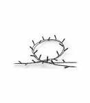 Philips Hue Festavia string lights 500 LED, 40m|Variable