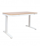 T&ouml;&ouml;laud ERGO 1-mootoriga 120x60xH72-121cm, tamm/valge