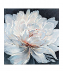 &Otilde;limaal 100x100cm, valge &otilde;is tumedal taustal