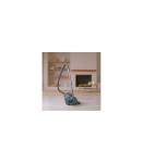Taurus Homeland Cyclone bagless hoover
