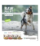 VetExpert Raw Paleo Vital Pro arthro beef medium large 100g