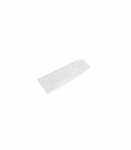 Natec Keyboard Nautilus NKL-1951 Keyboard Wired US White USB Type-A 390 g