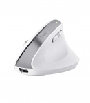 MOUSE USB OPTICAL WRL BAYO+/ERGONOMIC WHT 25399 TRUST
