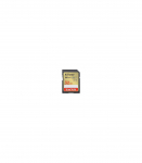 MEMORY SDHC 32GB UHS-1/SDSDXVT-032G-GNCIN SANDISK