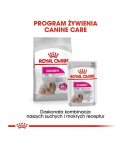 Royal Canin CCN MINI EXIGENT - dry food for adult dogs - 3kg