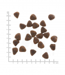 WOLFSBLUT Wide Plain Horse - dry dog food - 2kg