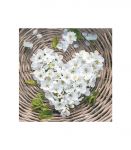 Salvr&auml;tik 33x33/20, Flower Heart