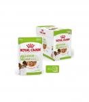 ROYAL CANIN Adult xs-small - wet dog food - 12 x 85g