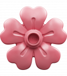 LEGO DUPLO Peokook