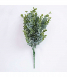 Eukal&uuml;pti kimp IN GARDEN, H30cm