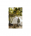 K&auml;rcher Vacuum Cleaner WD 6 P S V30 stainless steel 1 628-360 0 1 628360 0 K&auml;rcher628-360 K&auml;rcher 628-360 (1.628-360.0)