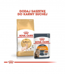 Royal Canin Sphynx dry cat food 2 kg