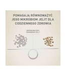 PURINA One Mini Active Chicken, Rice - Dry Dog Food - 800 g