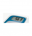 Kaal Terraillon Window Vocal