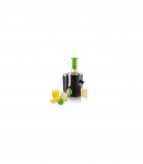 Princess Juice Extractor 202040 Type Juicer maker Black/Green 250 W Number of speeds 2
