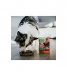 ANIMAL ISLAND Monoproteinowa indyk dla psa 300g