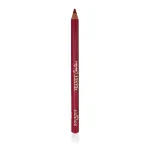 Bourjois Paris L&eacute;vres Contour Edition Lip Liner (05 Berry Much) 1,14 g 1,14 g