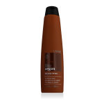 Lakme K.Therapy Bio Argan Shampoo Lakme K.Therapy Bio Argan Shampoo 300 ml