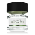 BMW Fragrances Bergamood EDP Tester 100 ml