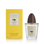 Pino Silvestre Acqua di Pino Cologne EDT Concentr&eacute;e