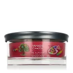 Yankee Candle Signature 5-Wick Tumbler Scented Candle Art in the Park 340 g