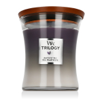 WoodWick Trilogy Medium Hourglass Candles Scented Candle Amethyst Sky