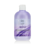 Inebrya GREYlosophy Grey By Day Shampoo 300 ml