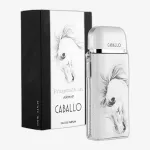 Armaf Seduction Pour Homme EDP 100 ml