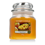 Yankee Candle Classic Medium Jar Candles Scented Candle Mango Peach Salsa Yankee Candle Classic Medium Jar Candles Scented Candle Mango Peach Salsa 411 g